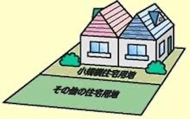 IMG_2994_64F6E085.jpeg