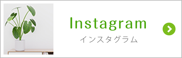 インスタグラム